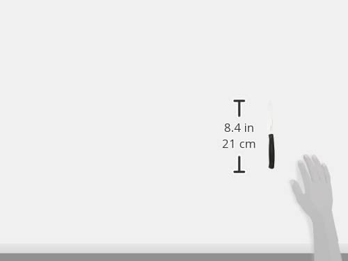 Kaimano KDN041806L CF.6 COLTELLI Bist.DINAMIK Marrone, Acciaio Inossidabile, Brown, One Size, 6 unità