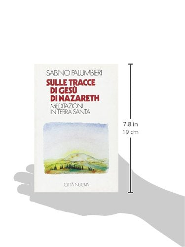 Sulle tracce di Gesù di Nazareth. Meditazioni in Terra Santa