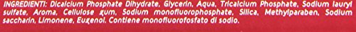 Iodosan Dentifricio Protezione Globale, con Fluoro, Aiuta a combattere la Placca e protegge dalle Carie, Gengive Sane, Gusto Fresco, Confezione da 75ml