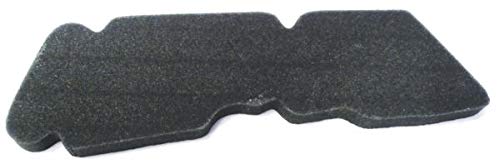 FILTRO ARIA LIBERTY 2T SPORT 50 2006 2007 2008 2009 2010