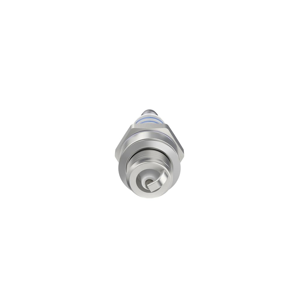Bosch WS7F 608 Candele per utensili da giardinaggio e silvicoltura, 1 candela