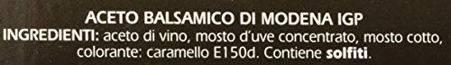 Gaia Aceto Balsamico di Modena IGP in Bustine Monodose - 198 Bustine da 5ml