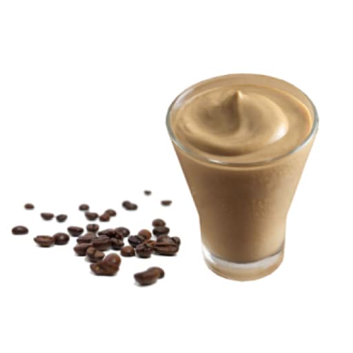 ristora Professional Preparato zuccherato per Crema Fredda al Caffè 1 Kg