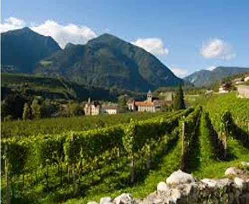 Müller Thurgau Alto Adige DOC, Abbazia di Novacella, 750ml