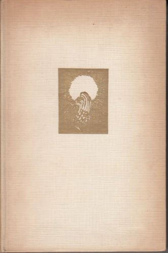 NELLA FOSCHIA SPLENDE UN BIMBO