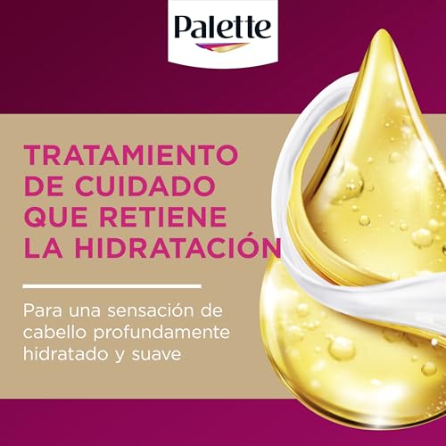Schwarzkopf Palette Intensive Creme Colore tono 6