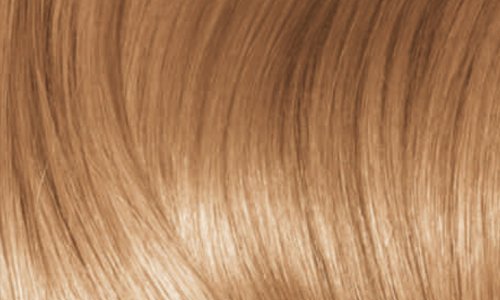 EXCELLENCE Crema Colorante Biondo Dorato 7,3 40 Ml