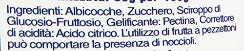 Santa Rosa, Confettura di Albicocche, 350g