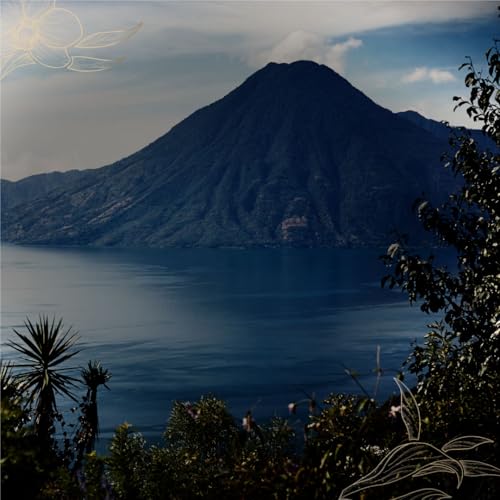 Zacapa Rum Centenario XO Solera - 700 ml