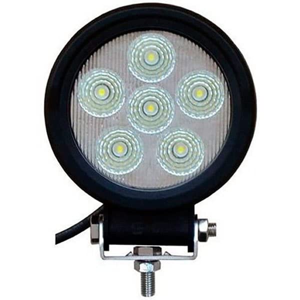 Goldenship GS10242, FOCO Unisex-Adult, Multicolor, Standard