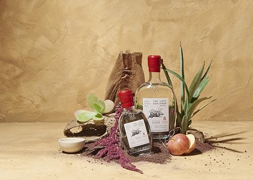 The Lost Explorer - Mezcal Messicano, Prodotto con 100% Agave Espadìn, Dolce ed Erbaceo, 42%, Bottiglia in Vetro da 750 ml