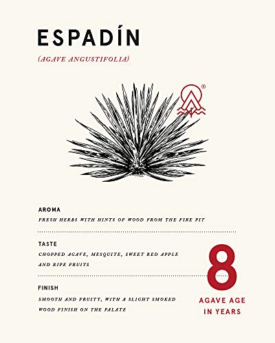 The Lost Explorer - Mezcal Messicano, Prodotto con 100% Agave Espadìn, Dolce ed Erbaceo, 42%, Bottiglia in Vetro da 750 ml