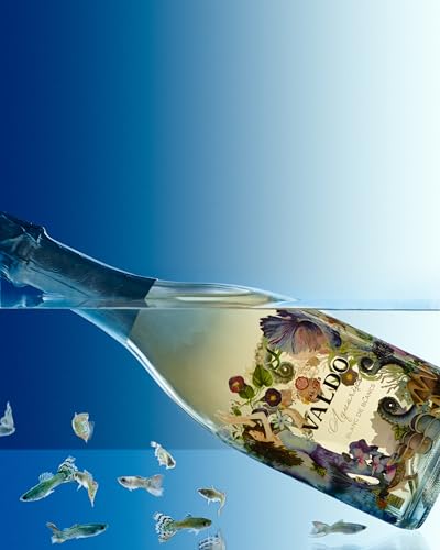 VALDO Aquarius Blanc de Blancs Spumante Extra Dry, 750 ml