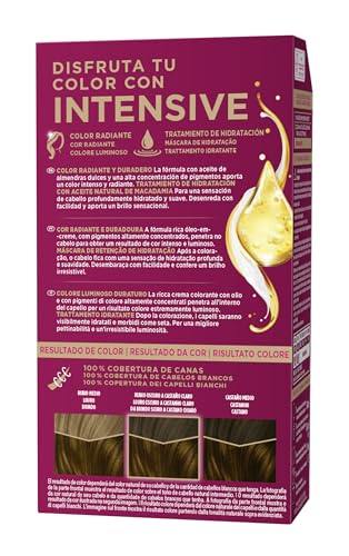 Tinte Castaño Luminoso 5.5 Intensive Palette
