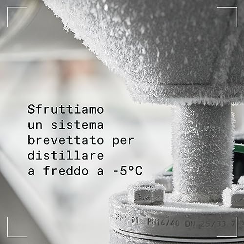 Oxley Small Batch Premium Gin, 47% Vol., 70cl / 700ml, distillato a freddo a temperature glaciali per esaltare al massimo i botanical