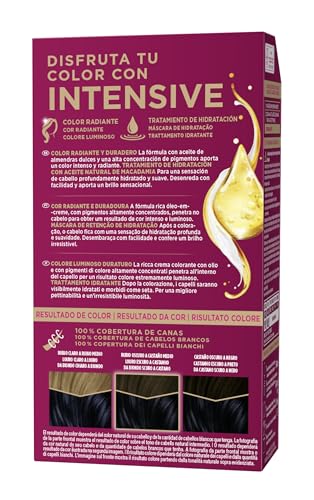 Schwarzkopf Palette Intensive Creme Colore tono 6