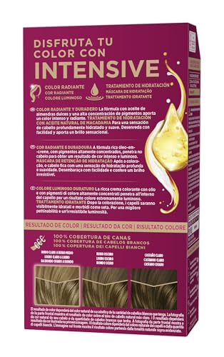 Schwarzkopf Palette Intensive Creme Color - Tono 6 capelli biondi scuro (confezione da 3), Colorazione permanente di cura con olio di Marula, adatta copertura del cane, colore duraturo fino a 8 settimane