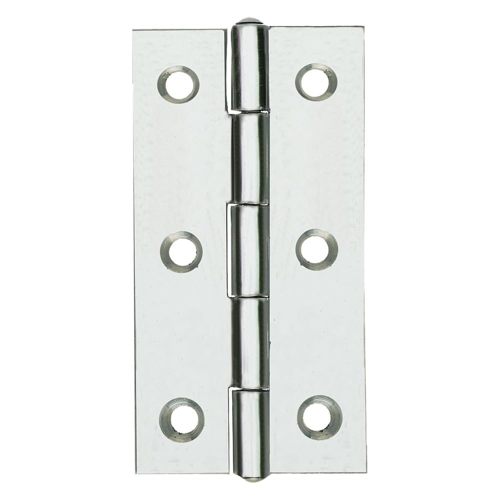 Cerniera In Acciaio Inox Art.120In Mm. 50 X 31 - Pz. 2