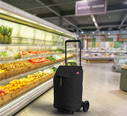 Gimi Easy | Carrello portaspesa Compatto con capienza da 40 l | Carrello portaspesa Pieghevole con Portata Fino a 30 kg | Leggero e maneggevole | Nero