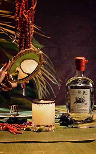 The Lost Explorer - Mezcal Messicano, Prodotto con 100% Agave Espadìn, Dolce ed Erbaceo, 42%, Bottiglia in Vetro da 750 ml