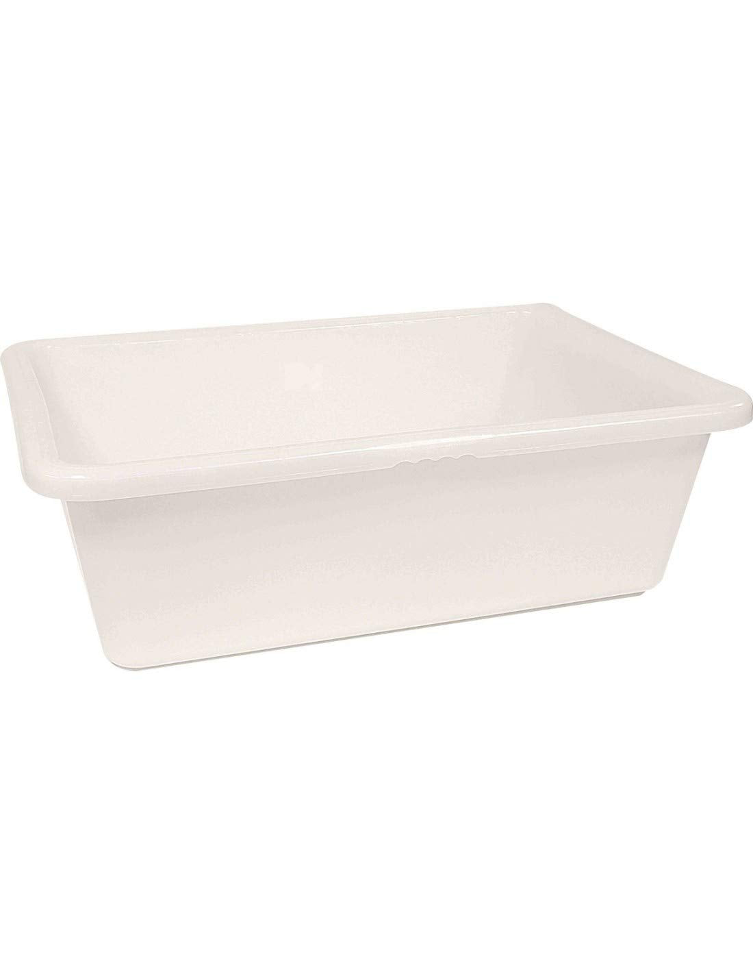 Ics Vaschetta Per Pesce