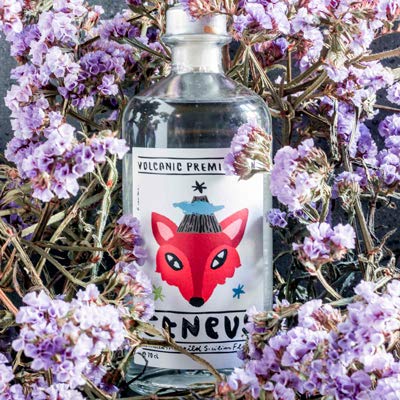 Etneum Gin Volcanic Premium 42% 70 CL By NelsonSicily