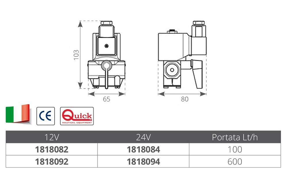 ELETTROVALVOLA 100 LT/H