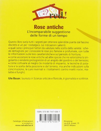 Rose antiche