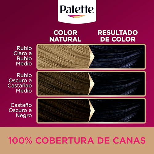 Schwarzkopf Palette Intensive Creme Colore tono 6