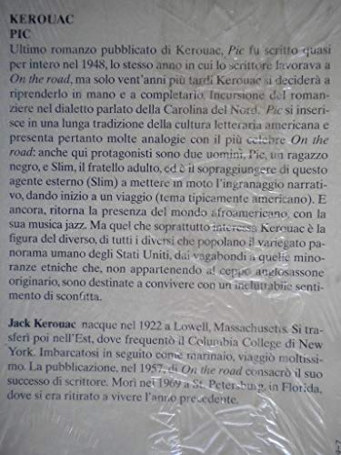 Pic. Storia di un vagabondo sulla strada