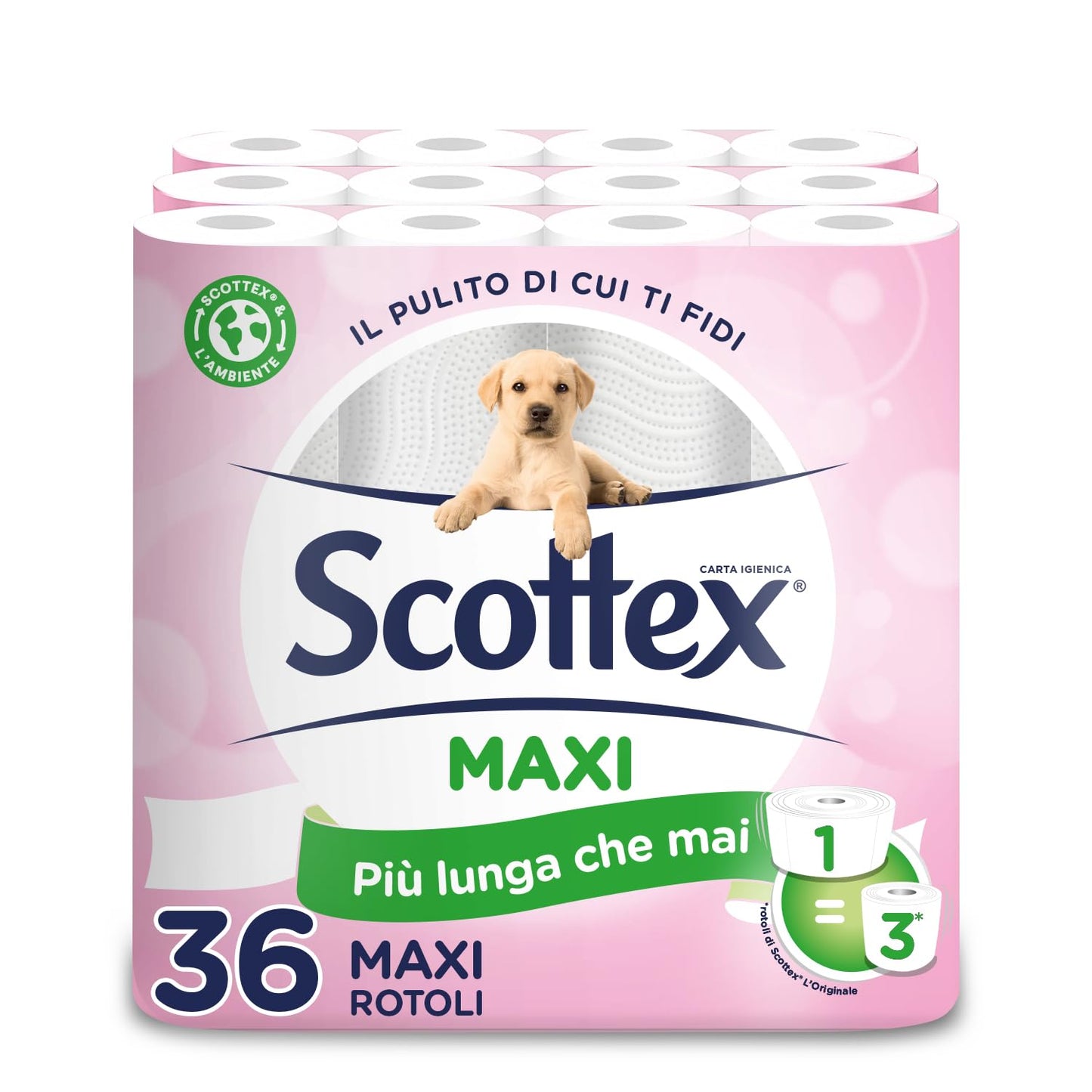 RXCASA5029054230657#1