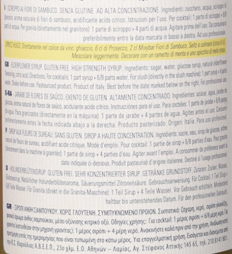 Fabbri Sciroppo Mixybar Fiori di Sambuco 1L