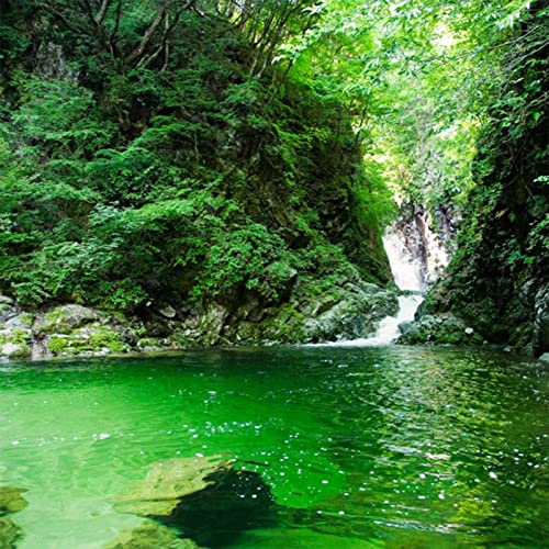 Suntory The Hakushu DISTILLER'S RESERVE Single Malt Japanese Whisky 43% Vol. 0,7l in Giftbox