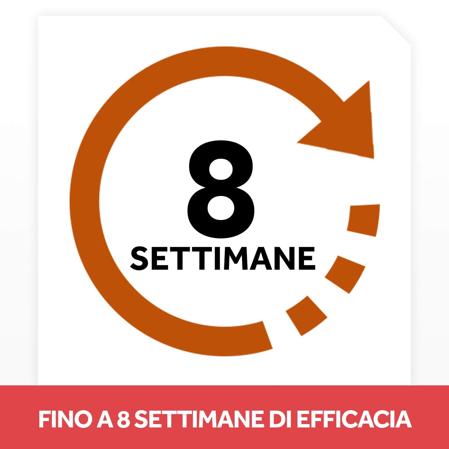 Autan Trappola Antitarme Alimentari, Elimina le Farfalline del Cibo, per Dispensa Cucina, Agisce Efficacemente fino a 8 Settimane, Inodore, 1 Confezione Contenente 2 Trappole Adesive