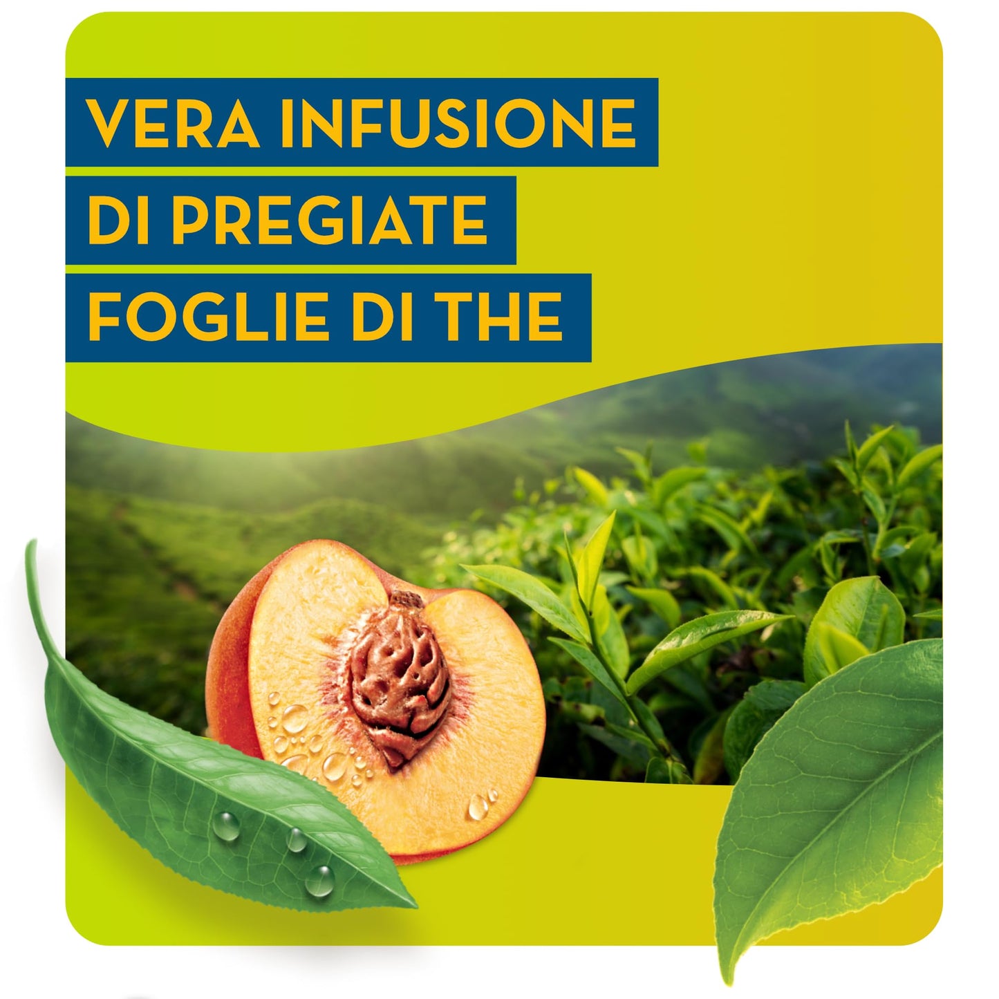 Estathé Zero Pesca - The Freddo, Senza Zucchero, con Vero Infuso di Foglie di The e Succo di Pesca, Bevanda Analcolica Senza Glutine, 12 Bottiglie da 0,4 lt