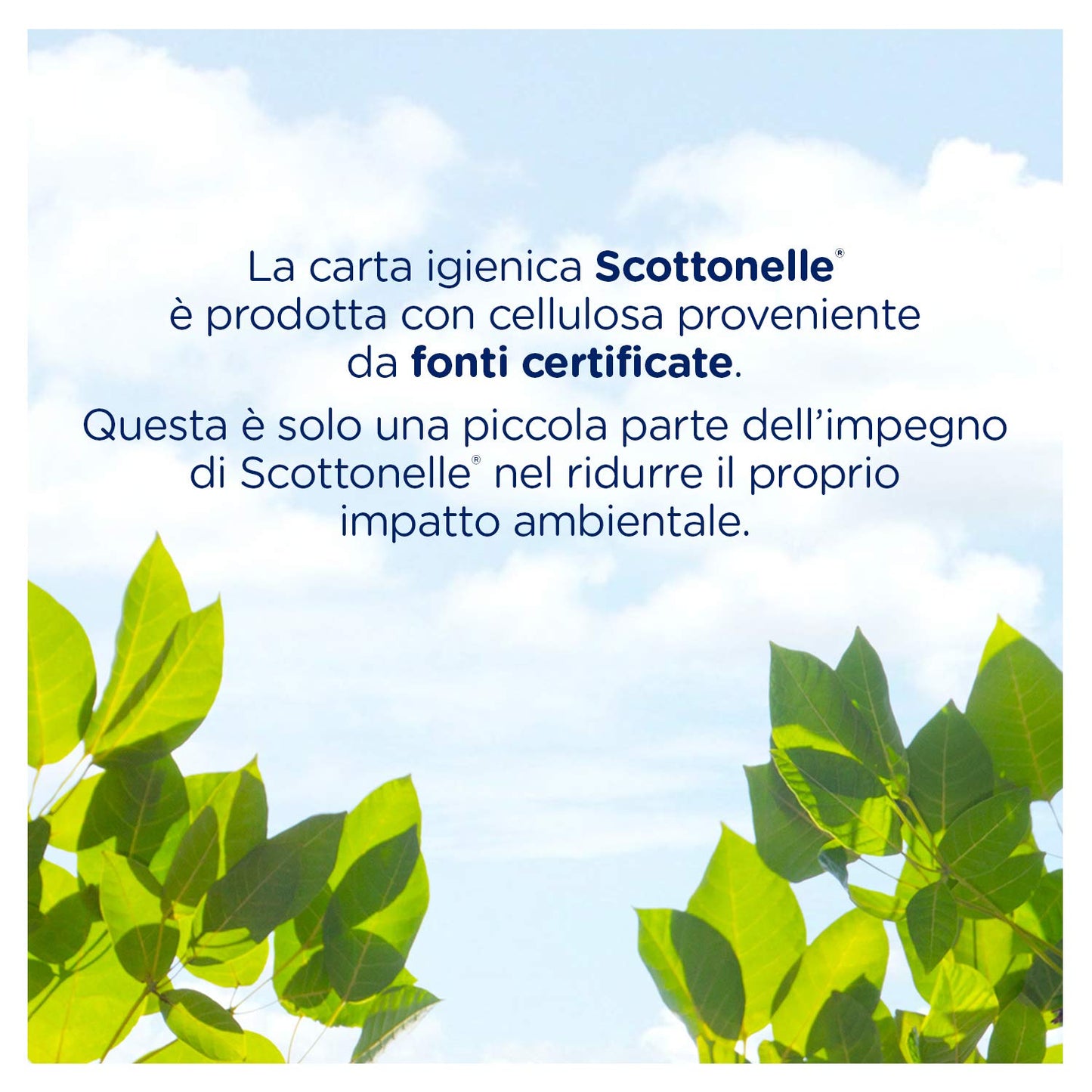 Scottonelle Carta Igienica Soffice e Trapuntata, Confezione da 4 Rotoli