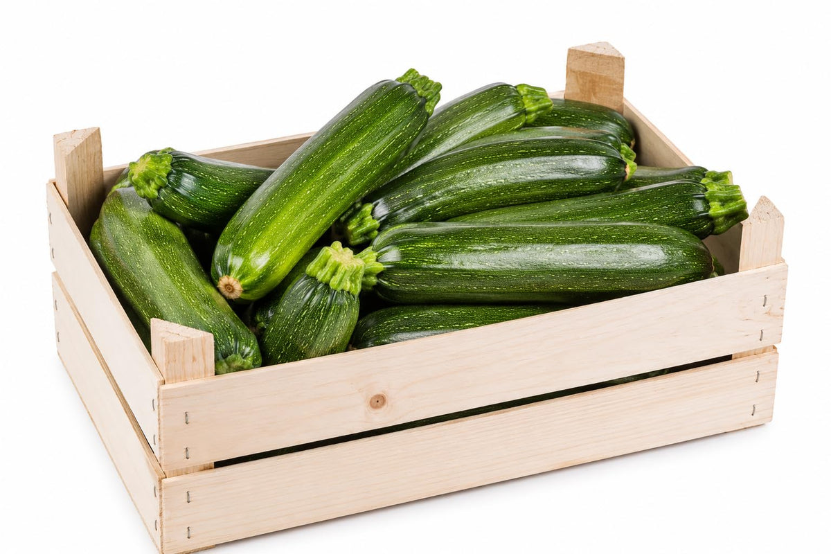 CG94 - Zucchine Fresche Verdi Selezionate 3 kg –