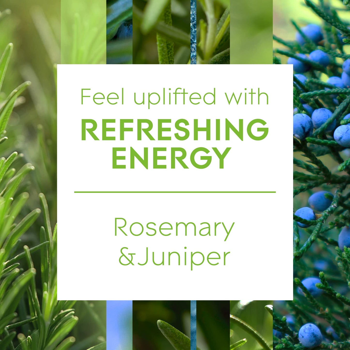 Glade® Aromatherapy- Bastoncini - Refreshing Energy Rosemary & Juniper