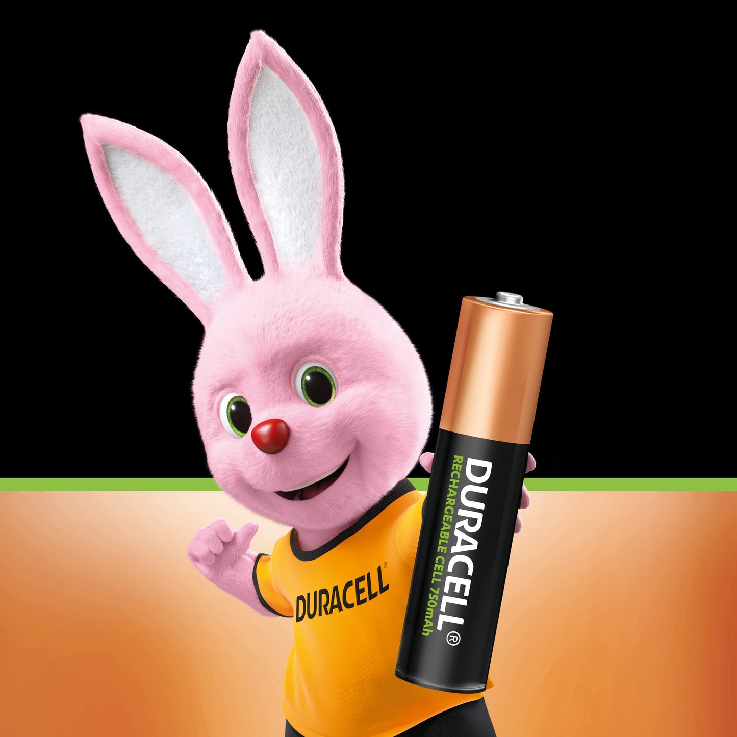 Duracell AAA B2 - Batterie Ministilo 750 Mah Ricaricabile Plus