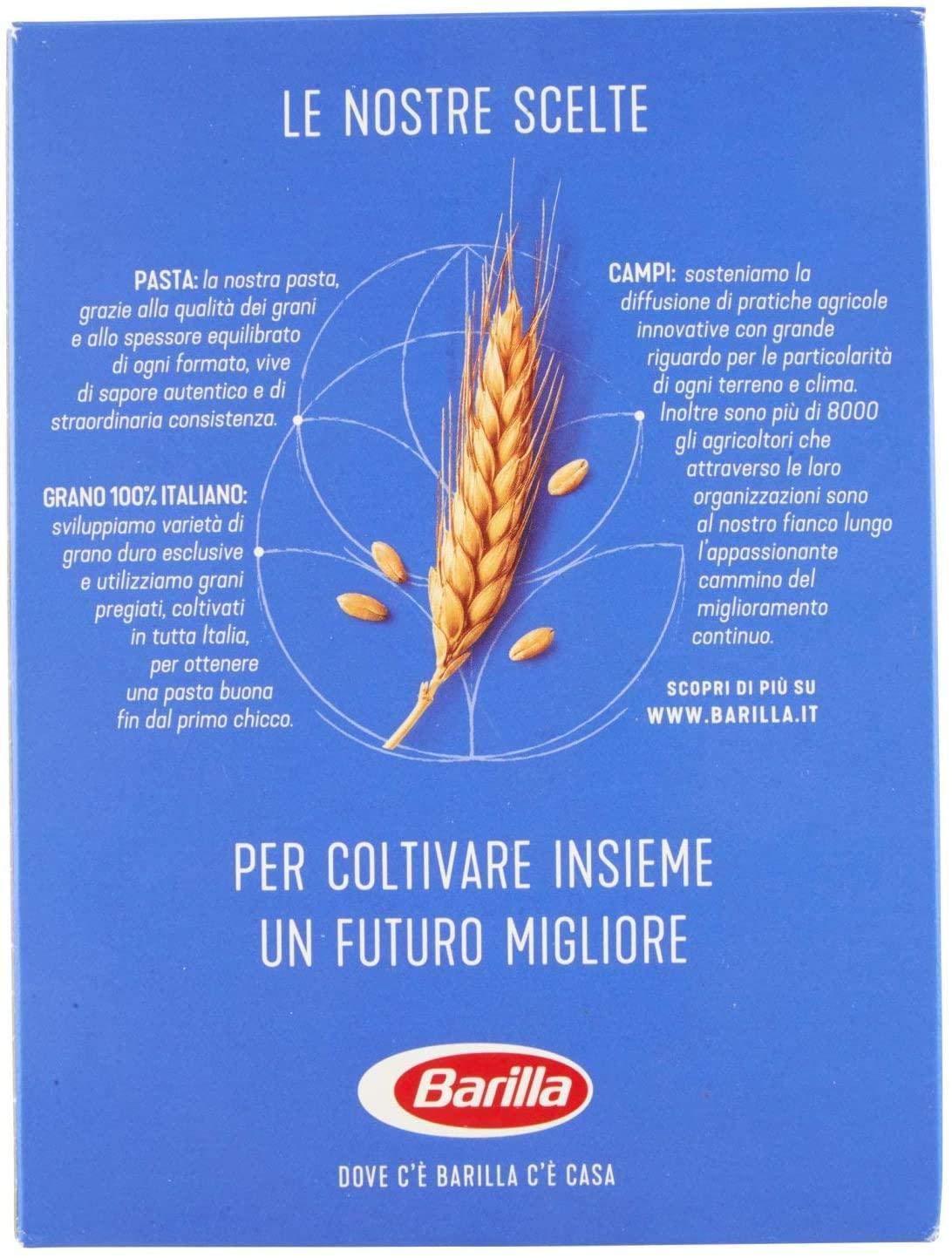 BARILLA PIPE RIGATE N.91 GR 500 X 20