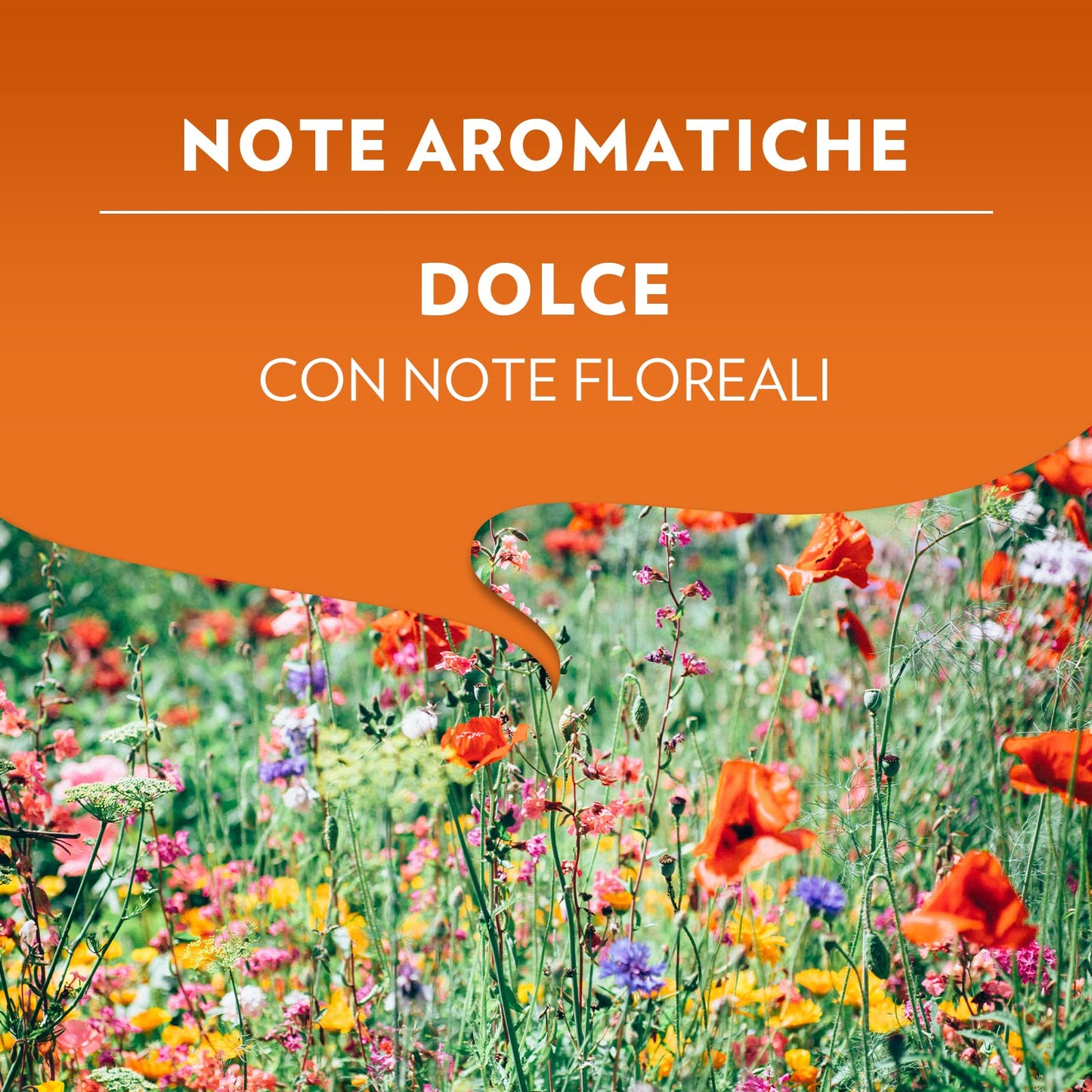 Lavazza A Modo Mio Espresso Delizioso, 360 Capsule, Tostatura Media, 10 Confezioni da 36 Capsule