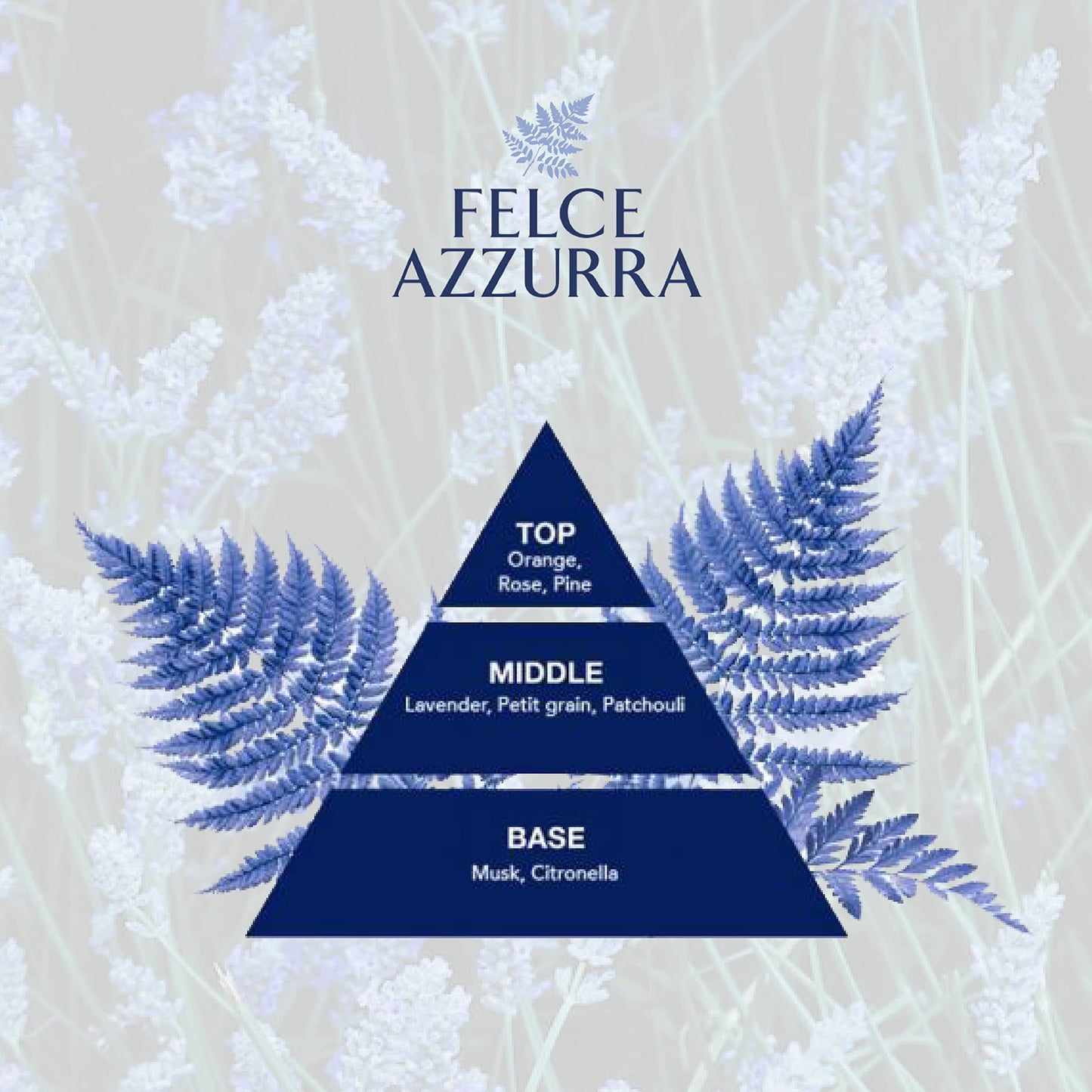 Felce Azzurra corpo polvere Beutel, pacco da (12 X 100 G)