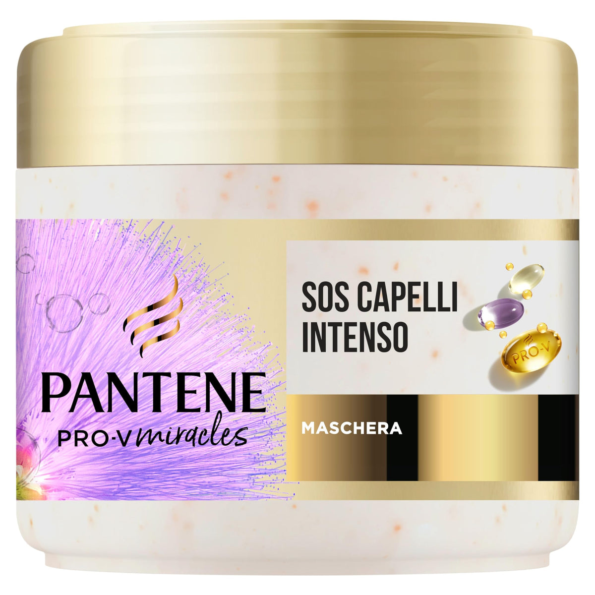 RXCASA-BAVA-PAN519/8700216251044