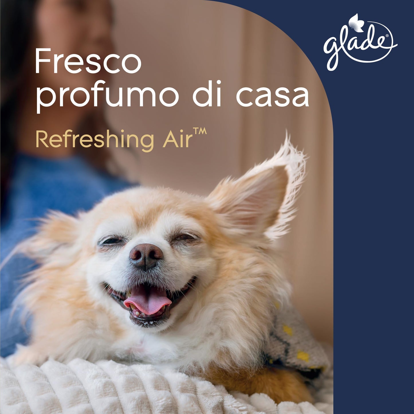 Glade Deodorante per Ambienti Spray, Fragranza Refreshing Air, Combatte gli odori degli animali domestici, 12 Spray da 300ml