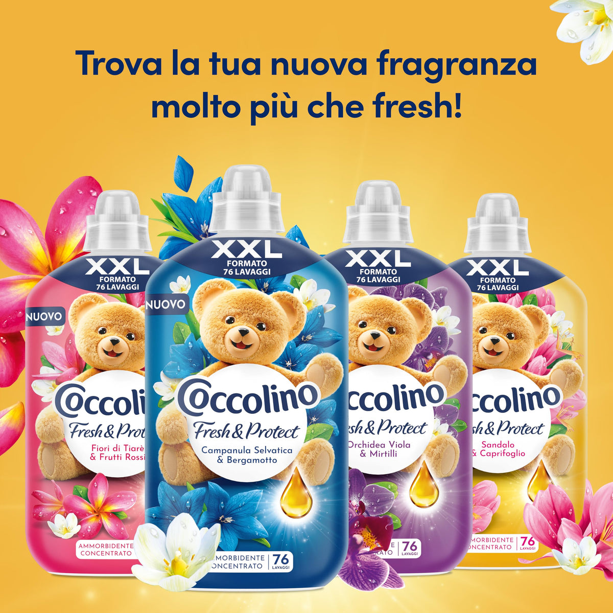 Coccolino Ammorbidente Concentrato Sandalo e Caprifoglio, Ammorbidente Lavatrice Intense Care con Tecnologia Pro-Fibre, Formato XXL Fino a 76 Lavaggi, 1750 ml
