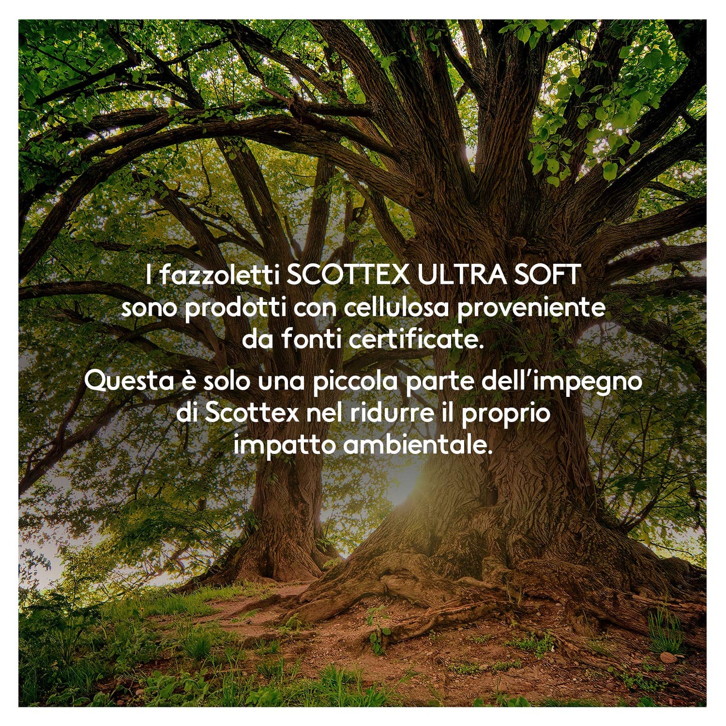 Scottex Ultra Soft Box Fazzoletti di carta, Morbidi e setosi, Confezione 100% Riciclabile, 1.920 Pz, 24 Box da 80 Fazzoletti