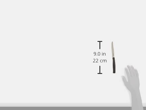 Kaimano KDN041806N Dinamik Coltelli Bistecca, Rame, Nero, 6 unità