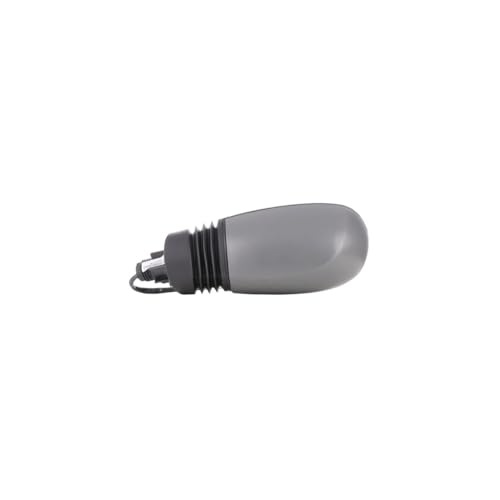 CG94-RICAM83080