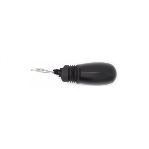 CG94-RICAM83060