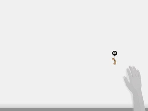 Bottari 60370 Luci LED per Auto, Decorative, Regolabili, Blu